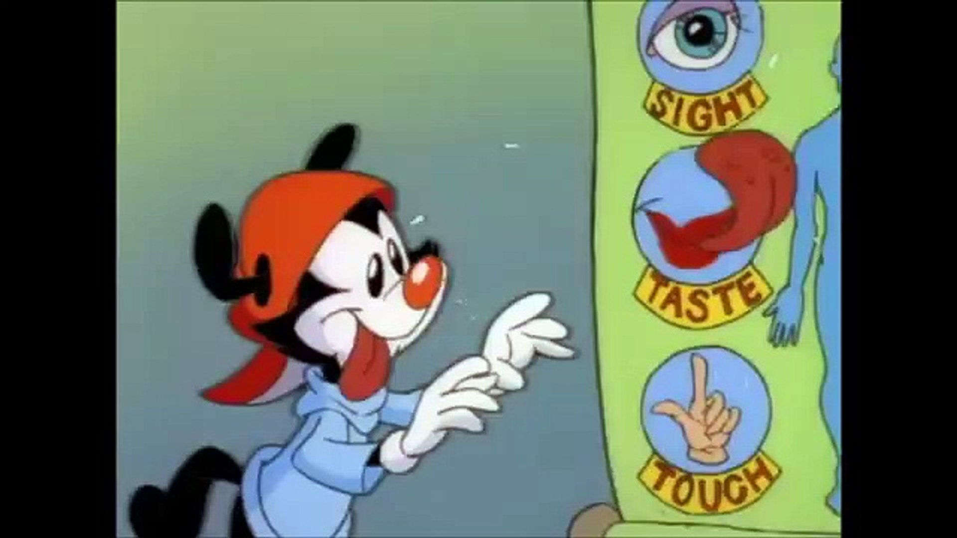 ⁣Phineas Et Ferb - bonus song french - Chanson Les Animaniacs - Les Sens (Français)