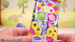 Japanese Gooey SHARK POPS! Candy Making Kit DIY By HobbyKidsTV