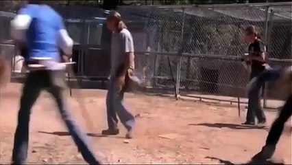 ANIMAL ATTACK HUMAN - BEAR VS HUMAN