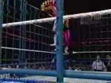 Bret Hart vs Shawn Michaels - Cage match