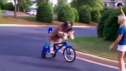 Animales y sus Ocurrencias ;-)