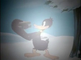 Daffy Duck face au danger de lhiver Dessin animé en français