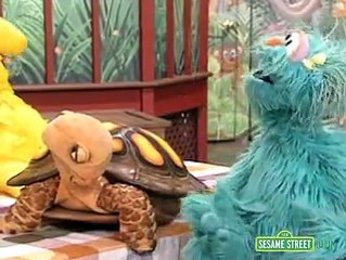 Sesame Street Big Bird Finds a Turtle