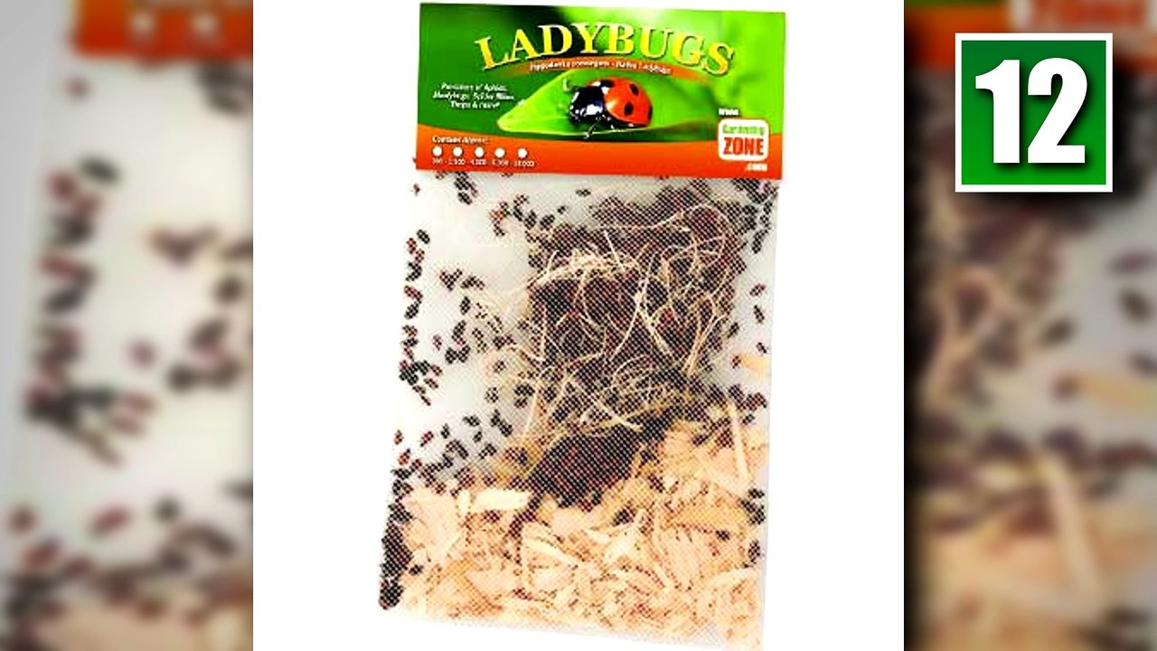 15 Strangest Things Sold On Amazon (2)