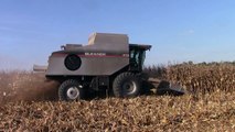 Gleaner R75 Combine Shelling Corn