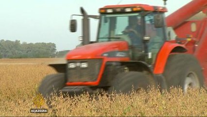 Chile's smart food: Making meat a thing of the past