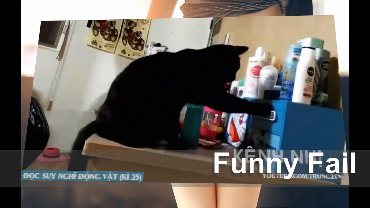 KÊNH NHỊ - ĐỌC SUY NGHĨ ĐỘNG VẬT (KÌ 25)