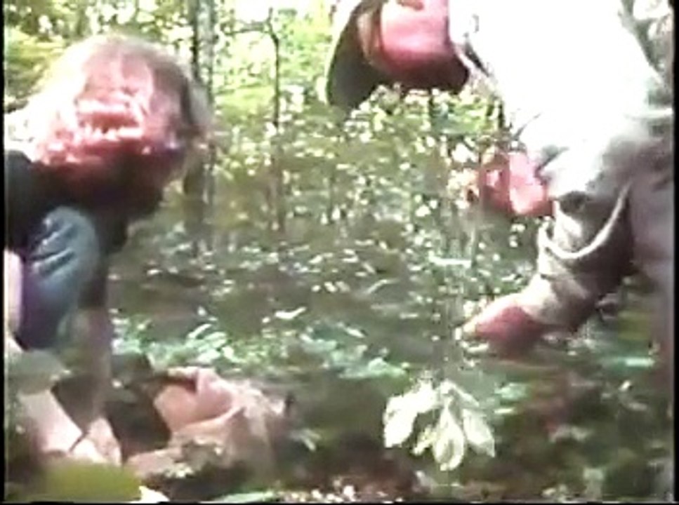 Clips from Catfish Man of the Woods