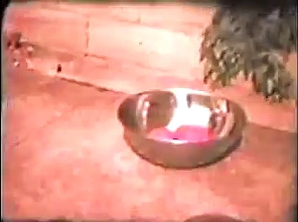 Some random 8mm clips from the 80s