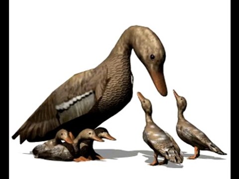 sonidos de los animales, ruido de animales para niños