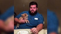 Puppy Tries to Bite Man's Beard - Funny Animals Channel