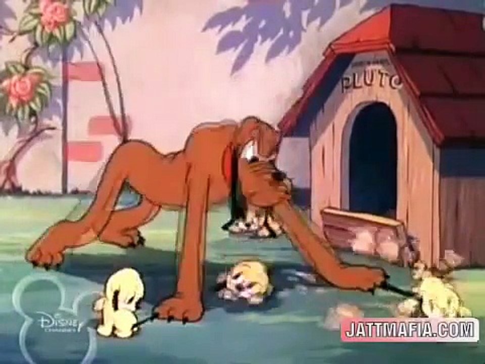 PLUTO THE PUP CARTOON IN HINDI EP - plutos quin-puplets hq BY JATTMAFIA.COM