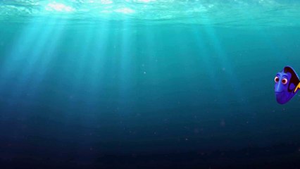 Have You Seen Her? - Finding Dory