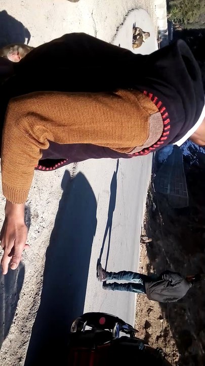 Monkey Reaction over Food in Murree Pakistan Must Watch