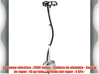 Plancha a vapor vertical Gecko Steamer GK07