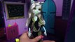 Monster High Freaky Fusion Frankie Stein Doll