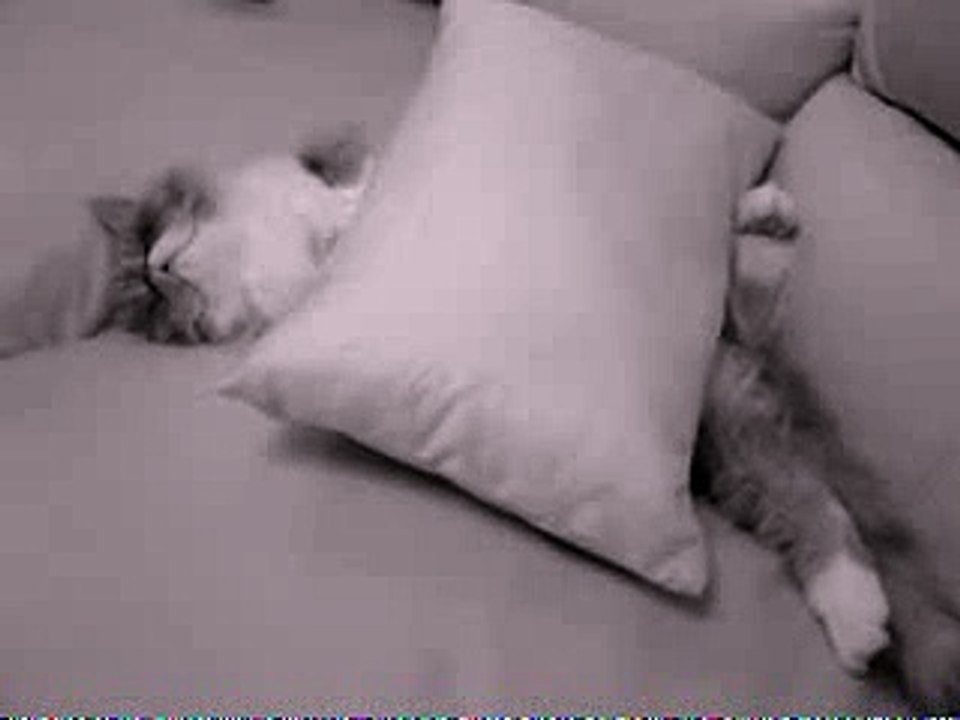 Just Waking Up