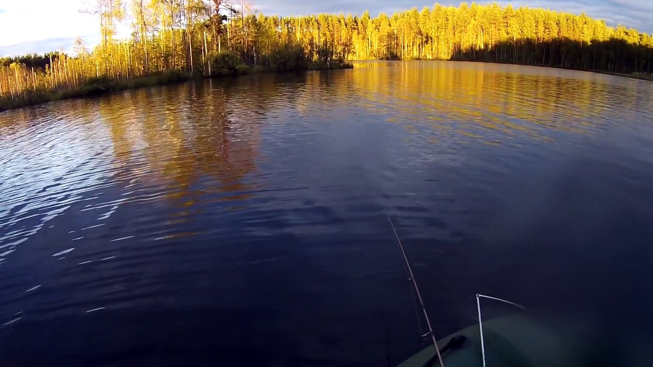 Summer fishing on differen kind of fish differe...