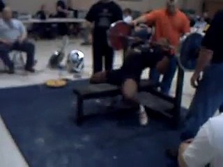 Sheeba Ibidunni - 2008 AAPF 253 Raw Bench