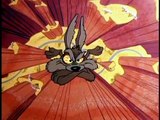 Looney Tunes - A Wile E. Coyote Tribute