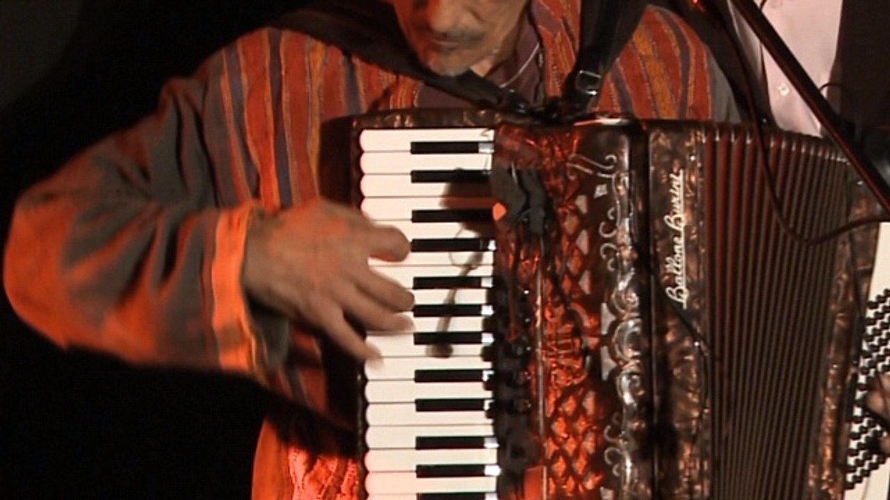 Cet air là - Vincent Tronc  (concert)