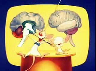 Pinky und der Brain Stammhirn