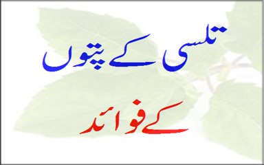 Tulsi Ke Patto Ke Fawaid