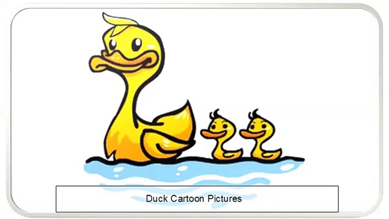 Crazy cartoon Duck Pictures