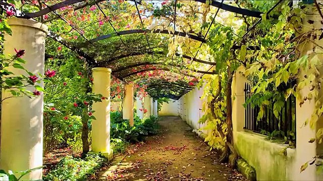 Садовые арки