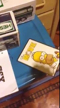 Me Destroying My DVD Of The Simpsons Movie