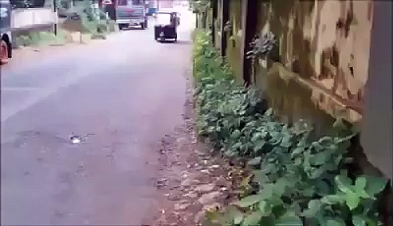 WhatsApp Extremely Funny Videos Hardcore (79)