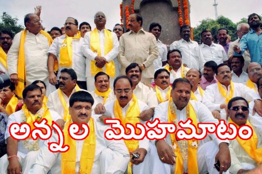 TDP leaders are not asking about Special Status