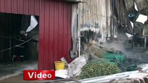 Plastik fabrikası alev alev yandı (Trend Videos)