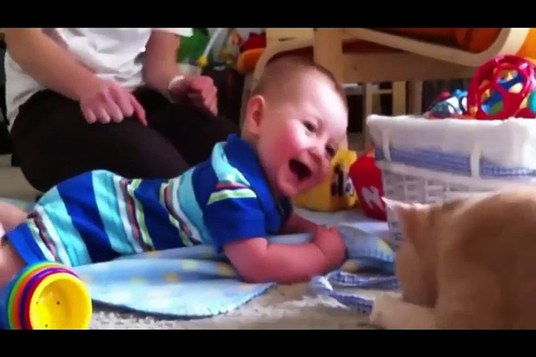 Funny animals games funny animals and people