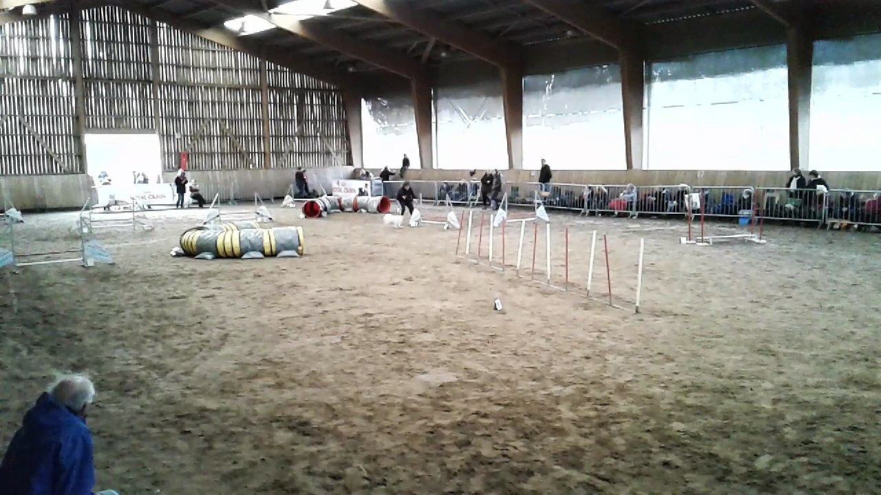 Jumping Gammy