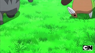 Chespin-Pancham Combo Attack I Pokémon I Cartoon Network