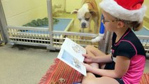 Barınakta yalnız kalan köpeklere kitap okuyan çocuklar