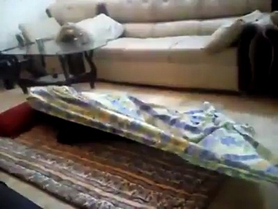very funny video