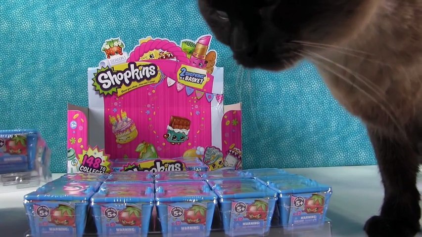 Paul vs Shannon Trolls Series 7 Blind Bag Challenge Toy Review _  PSToyReviews - Video Dailymotion