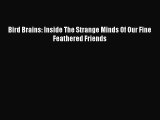Read Bird Brains: Inside The Strange Minds Of Our Fine Feathered Friends Ebook Free