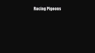 Download Racing Pigeons PDF Free