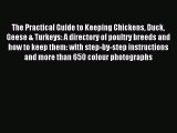 Download The Practical Guide to Keeping Chickens Duck Geese & Turkeys: A directory of poultry