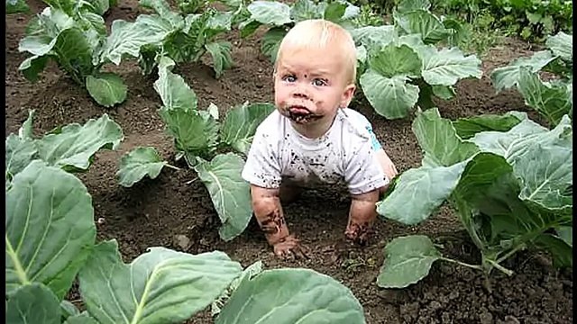 Как быстро разрезать арбуз !