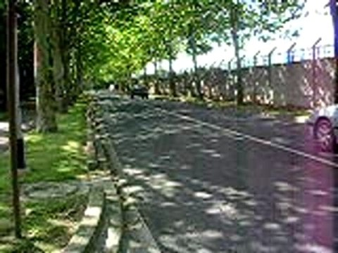 nitro evolution de wilback