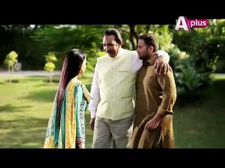 Chandan Haar Episode 25 on Aplus