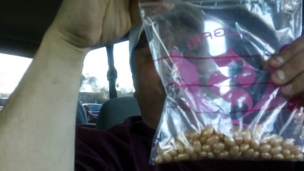 Draft Beer Jelly Belly® REVIEW!!