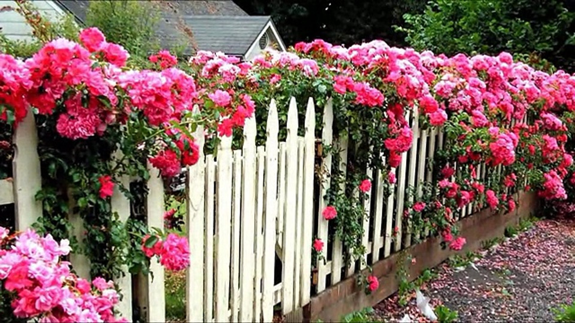 ⁣Забор для дачи