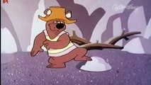 Help ! Its the Hair Bear Bunch intro Hanna Barbera cartoon