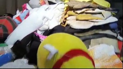 Cat Burglar Klepto Kitty Funny News Story