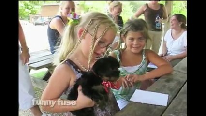 Touching beginning of new friendships - Puppy Surprise Present Compilation